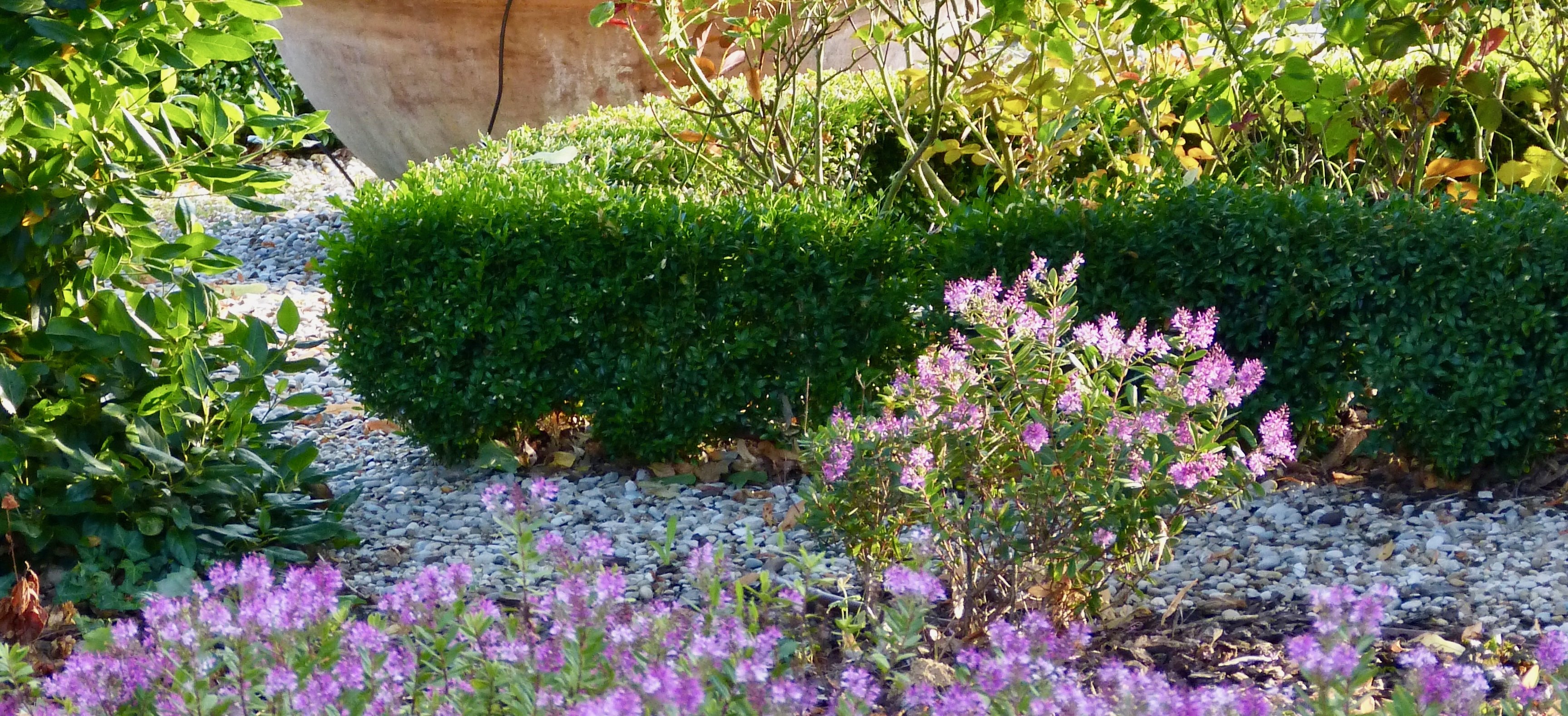 Garden Image